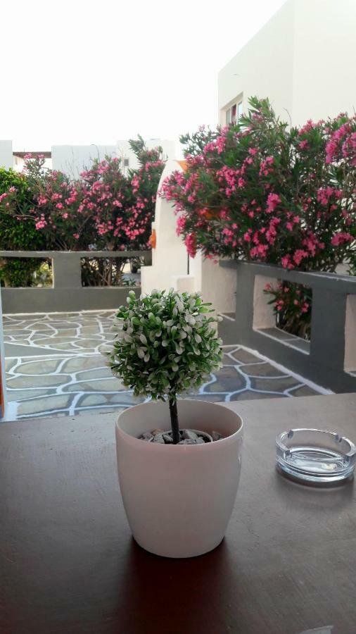 George'S Place Chora  Dış mekan fotoğraf